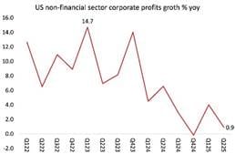YZ Balonu ve ABD Ekonomisi Fig16 Profit Growth - Yapay Zekâ Balonu ve ABD Ekonomisi - 29